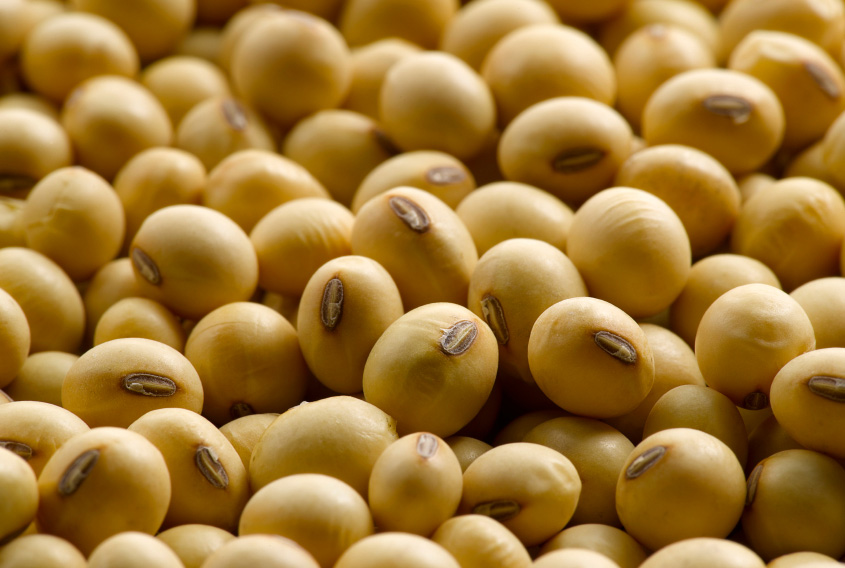 kacang soya hilangkan bintik hitam